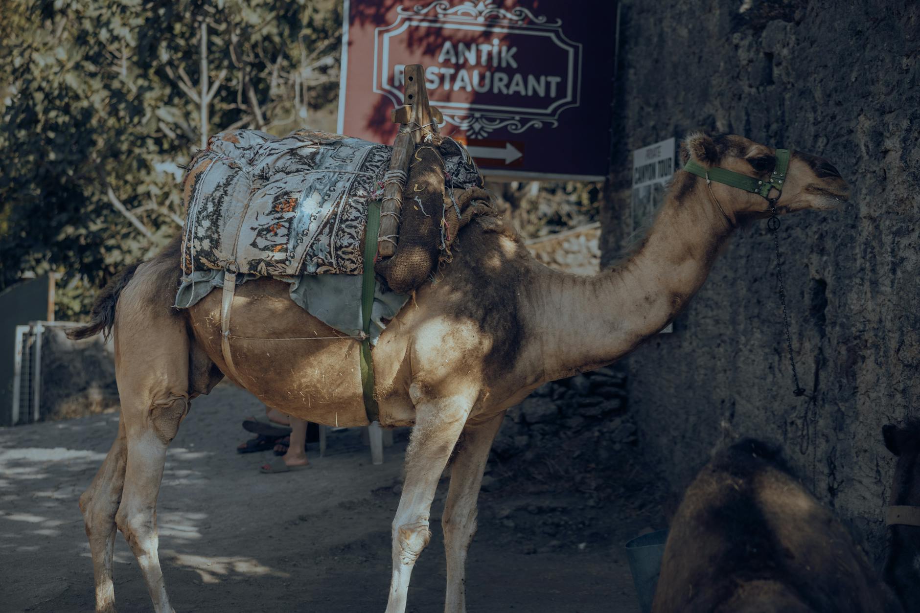 Kaybolmuş Medeniyetlerin Etkileri